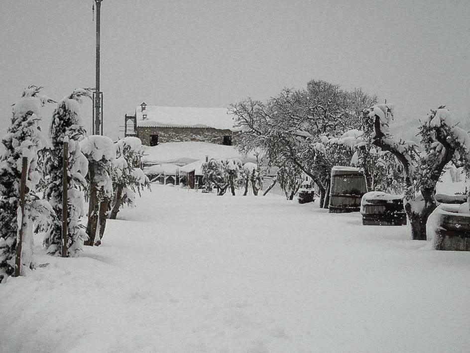 Villa Ca' Maggio Sasso Feltrio Zimmer foto